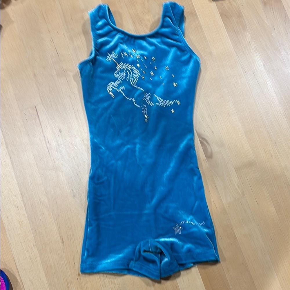 Blue Unicorn Leotard